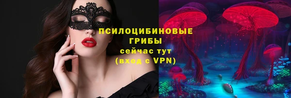марки lsd Абаза